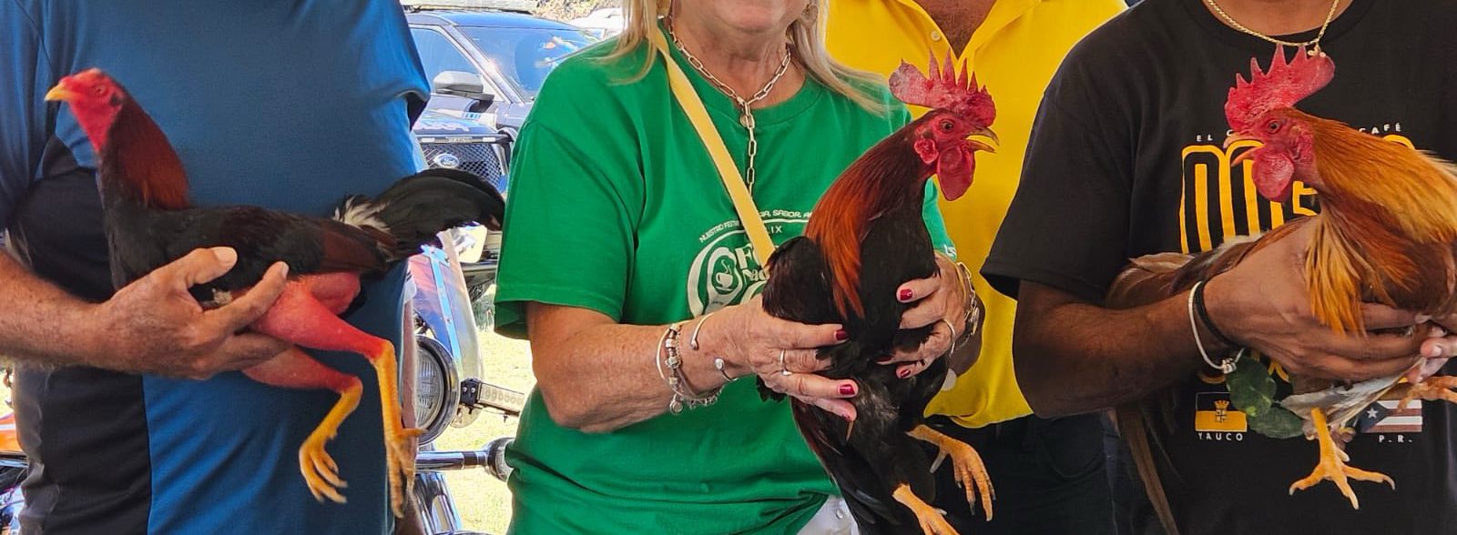 Bota de gallos Yauco, festival del café