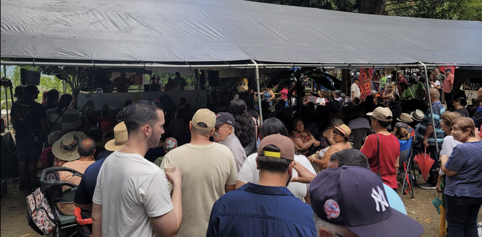 Yauco Festival del Café, campo